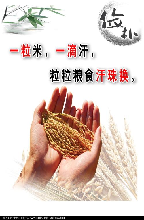 神戸市看護大学学士毕业证